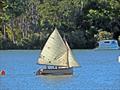 Noosa Gaff Rig Regatta 2019 © Phil Atkins