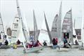 Icicle Race opens 2019 season at at Harlow (Blackwater) SC © Ron Suffield