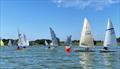 Border Counties Midweek Sailing at Budworth © Katie Guess