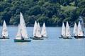 A while fleet of ILCAs mixing it with a couple of the bigger boats - club racing at Solway © Margaret Purkis