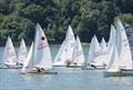 Finn Harris (ILC6 221631) takes an early lead in the Saturday series races - club racing at Solway © Margaret Purkis
