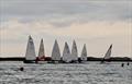 Crossley Holland Trophy during the Overy Staithe Regatta © Isla Dow