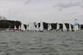 Emma Nettleship Regatta at Bough Beech