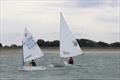 Emma Nettleship Regatta at Bough Beech