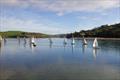 Festive Series at Salcombe YC