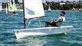 Masonic Cup - Wakatere Centennial Regatta - February 2026 &copy; Richard Gladwell/Sail-World.com/nz