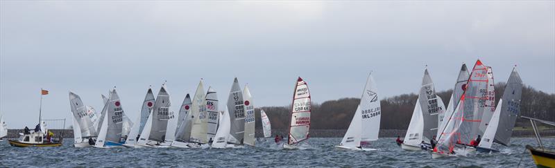 John Merricks Tiger Trophy 2015 - photo © Tim Olin