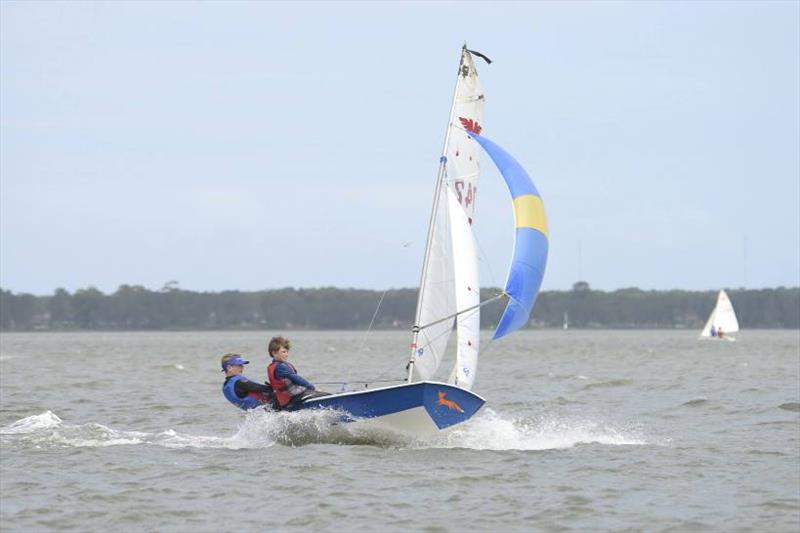 Manly Junior 50th National Titles - photo © Port Kembla Sailing Club