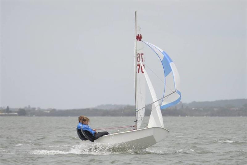 Manly Junior 50th National Titles - photo © Port Kembla Sailing Club