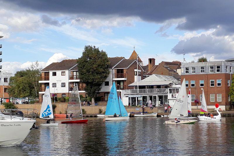 Minima YC Regatta 2020 - A giant swan pedalo seems to take the lead in the New Sailors Handicap. Behind it are the sails of the two Tammy Toppers  which won photo copyright John Forbes taken at Minima Yacht Club and featuring the Dinghy class