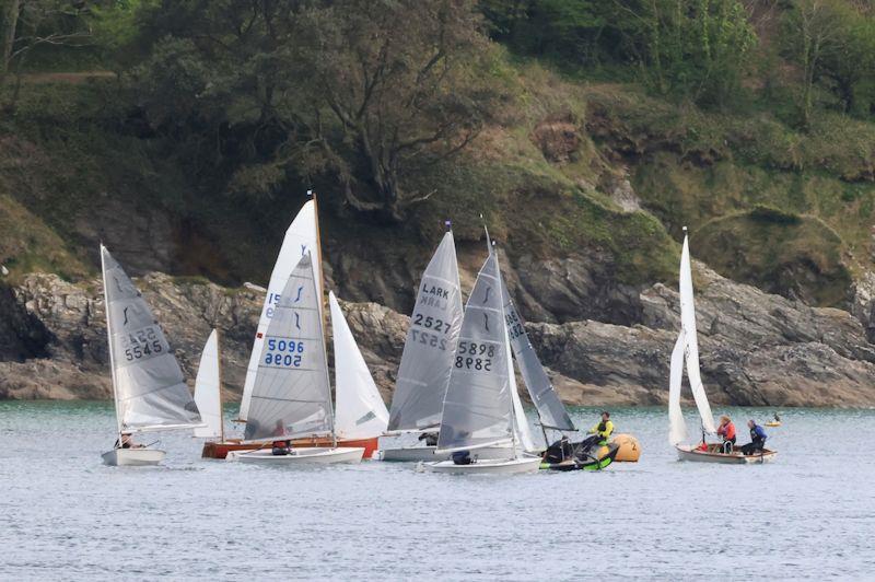 Salcombe YC Midweek Spring Series race 2 photo copyright Lucy Burn taken at Salcombe Yacht Club and featuring the Dinghy class