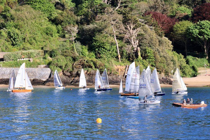 Salcombe YC Midweek Spring Series race 3 photo copyright Lucy Burn taken at Salcombe Yacht Club and featuring the Dinghy class
