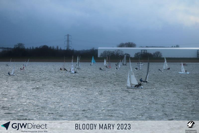 GJW Direct Bloody Mary 2023 photo copyright Mark Jardine taken at Queen Mary Sailing Club and featuring the Dinghy class