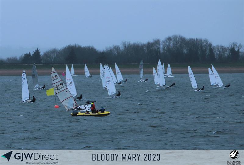 GJW Direct Bloody Mary 2023 photo copyright Mark Jardine taken at Queen Mary Sailing Club and featuring the Dinghy class