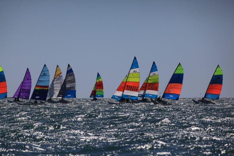 23-24 Australian Hobie Cat National Championships - photo © Paddy Butler