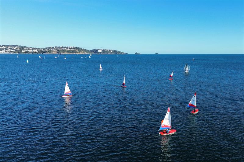 Christmas Cracker pursuit at Paignton photo copyright Roger Phillips taken at Paignton Sailing Club and featuring the Dinghy class