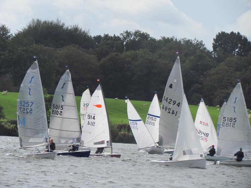 Which tack is best during the Border Counties Midweek Series at Budworth photo copyright Brian Herring taken at Budworth Sailing Club and featuring the Dinghy class