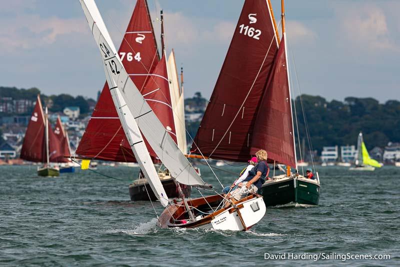 Bournemouth Digital Poole Week 2022 day 4 photo copyright David Harding / www.sailingscenes.com taken at Parkstone Yacht Club and featuring the Dolphin class