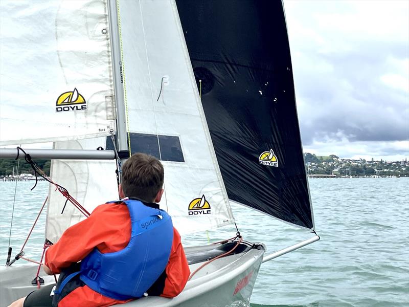 Doyle Sails have formed a partnership to support Royal Akarana YC's Academy, Learn to Sail and wider programs photo copyright RAYC taken at Royal Akarana Yacht Club and featuring the  class