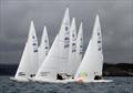 Irish South Coast Dragons 2014 at Glandore © Kathleen Hayes