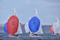 Kinsale Dragon Gold Cup 2024 Day 5 © David Cullinan