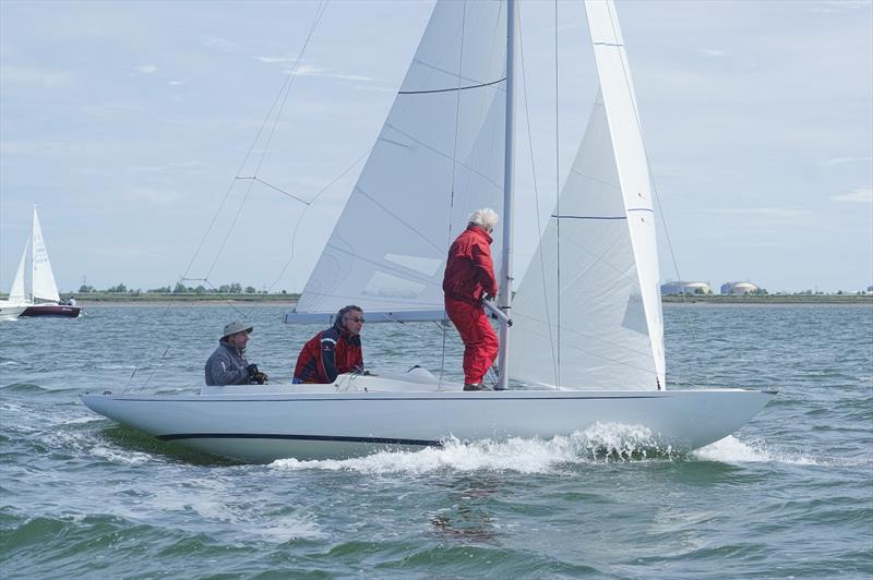 British Dragon Classic and Vintage Championships at the Medway Regatta 2019 photo copyright Richard Janulewicz / www.sharkbait.org.uk taken at Medway Yacht Club and featuring the Dragon class