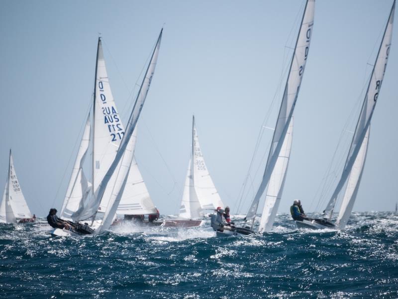 Dragons upwind - Australasian Dragon Championship, Day 1 of the Prince Philip Cup - photo © Tom Hodge Media