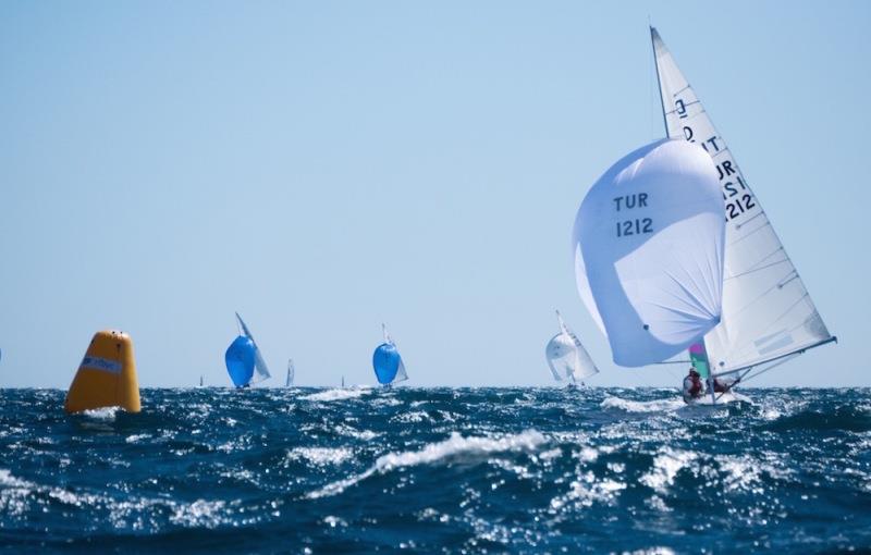 TUR1212 Provezza - Australasian Dragon Championship for the Prince Philip Cup, Day 2 - photo © Tom Hodge Media