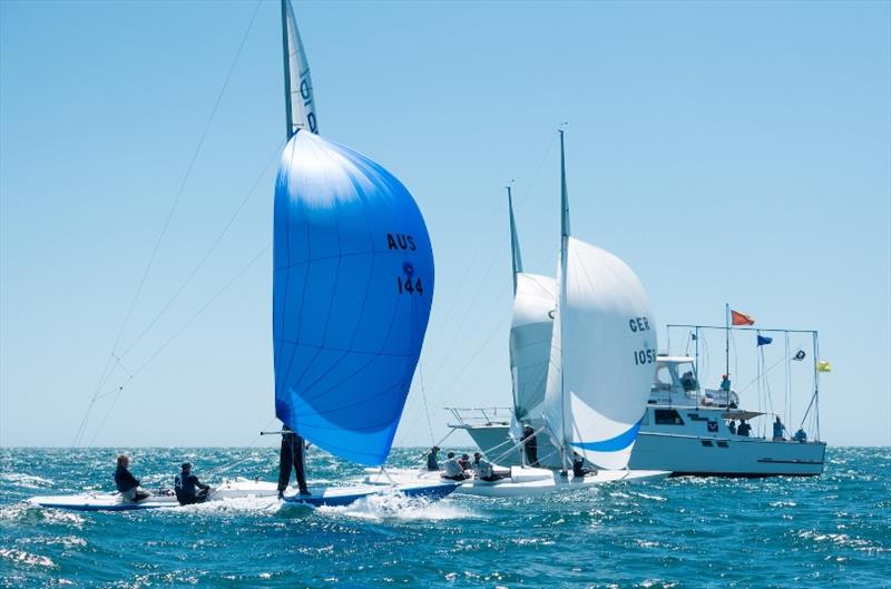 Day 2 - 2019 Dragon World Championship at Fremantle photo copyright Tom Hodge Media taken at Fremantle Sailing Club and featuring the Dragon class