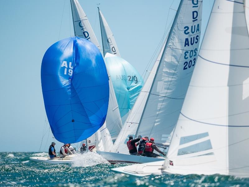 Day 2 - 2019 Dragon World Championship at Fremantle photo copyright Tom Hodge Media taken at Fremantle Sailing Club and featuring the Dragon class