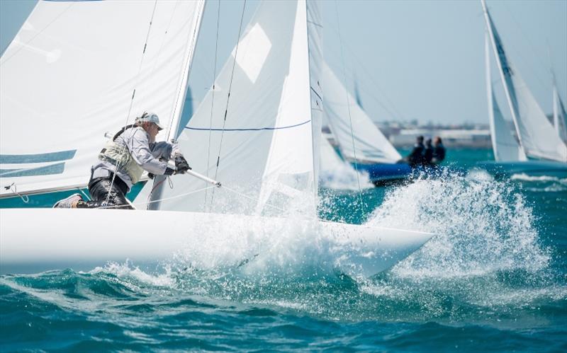 Day 2 - 2019 Dragon World Championship at Fremantle photo copyright Tom Hodge Media taken at Fremantle Sailing Club and featuring the Dragon class