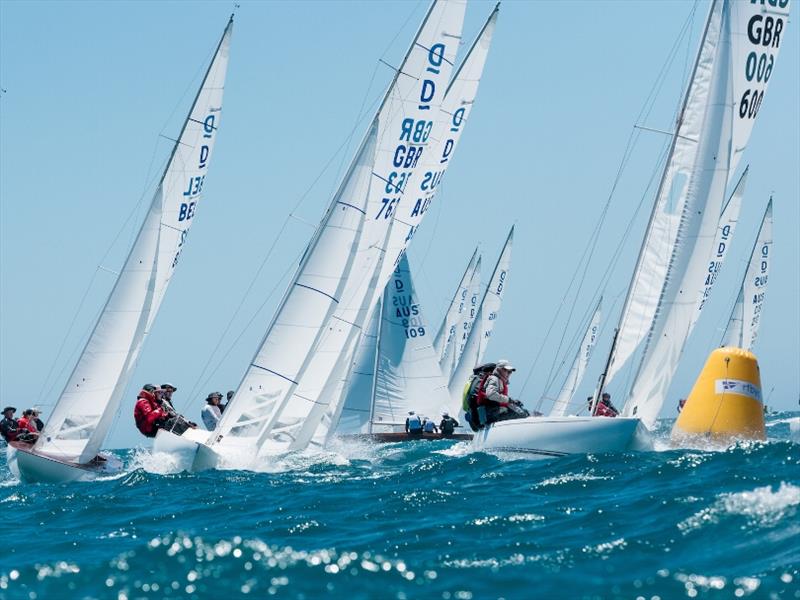 Day 2 - 2019 Dragon World Championship at Fremantle photo copyright Tom Hodge Media taken at Fremantle Sailing Club and featuring the Dragon class