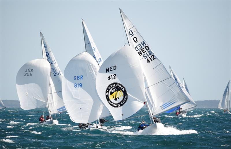 Day 3 - 2019 Dragon World Championship photo copyright Richard Polden taken at Royal Freshwater Bay Yacht Club and featuring the Dragon class