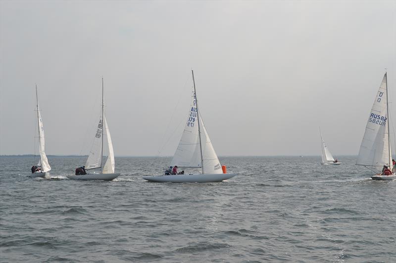 Victorian International Dragon Championships 2019 photo copyright Jeff Rose taken at Metung Yacht Club and featuring the Dragon class