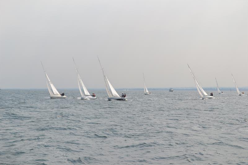 Victorian International Dragon Championships 2019 photo copyright Jeff Rose taken at Metung Yacht Club and featuring the Dragon class