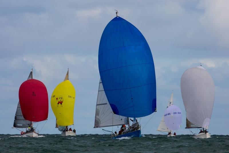 Downwid the little Dragon (second from right) keeps pace with some of her larger competition - Port Phillip Women's Championship Series, BLiSS Regatta photo copyright Bruno Cocozza taken at Royal Brighton Yacht Club and featuring the Dragon class