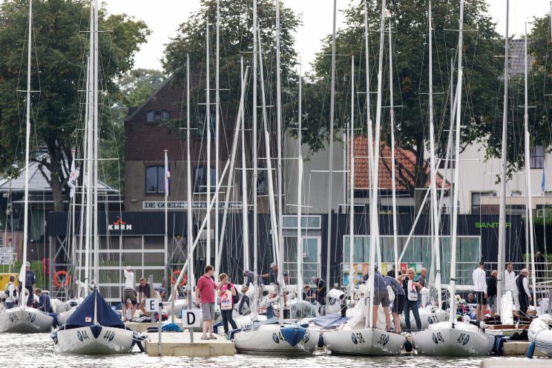 Yanmar Dragon Gold Cup photo copyright Fiona Brown taken at  and featuring the Dragon class