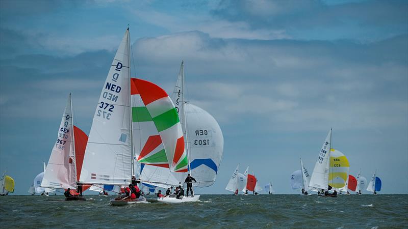 Day 3 - 2019 Yanmar Dragon Gold Cup - photo © Eric van den Bandt