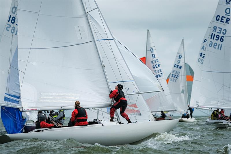 Day 3 - 2019 Yanmar Dragon Gold Cup - photo © Eric van den Bandt