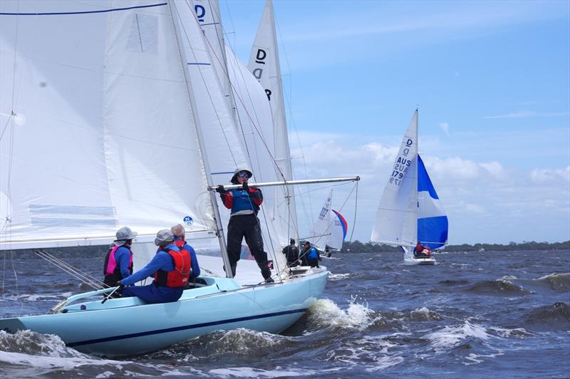 Saphira on the spinnaker leg photo copyright Jeanette Severs taken at Metung Yacht Club and featuring the Dragon class