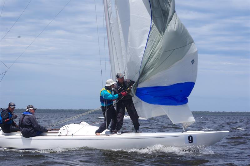 The crew of Pennyfarthing struggling with the spinnaker photo copyright Jeanette Severs taken at Metung Yacht Club and featuring the Dragon class