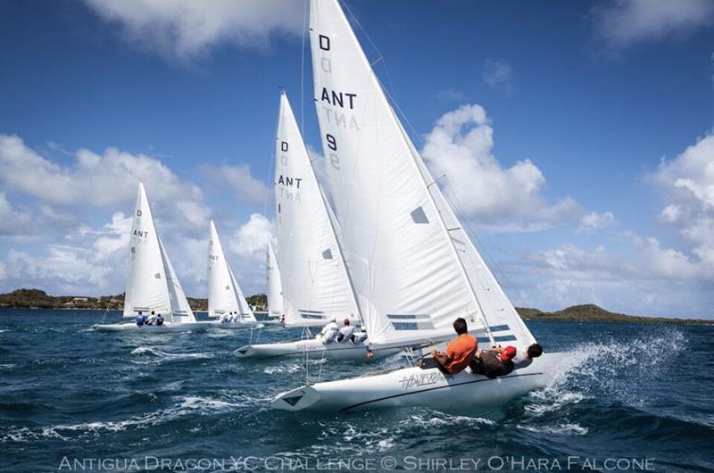 55th Antigua Sailing Week photo copyright Shirley O' Hara Falcone taken at Antigua Yacht Club and featuring the Dragon class