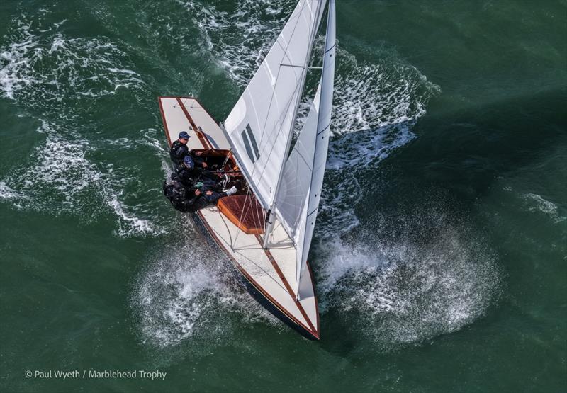 European Grade 1 Series Victory for Bluebottle