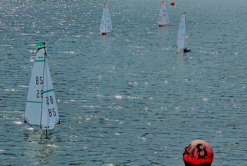 MYA Scottish District DF65 Championship at Murdieston Dam photo copyright Simon Thomson taken at Greenock Model Yacht and Power Boat Club and featuring the RG65 class
