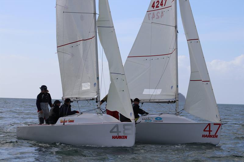 R   R hold out Reggae Shark  - Elliott 5.9 Travellers Trophy Whitianga, July 2023 photo copyright Elliott 5.9 Class taken at  and featuring the Elliott 5.9 class
