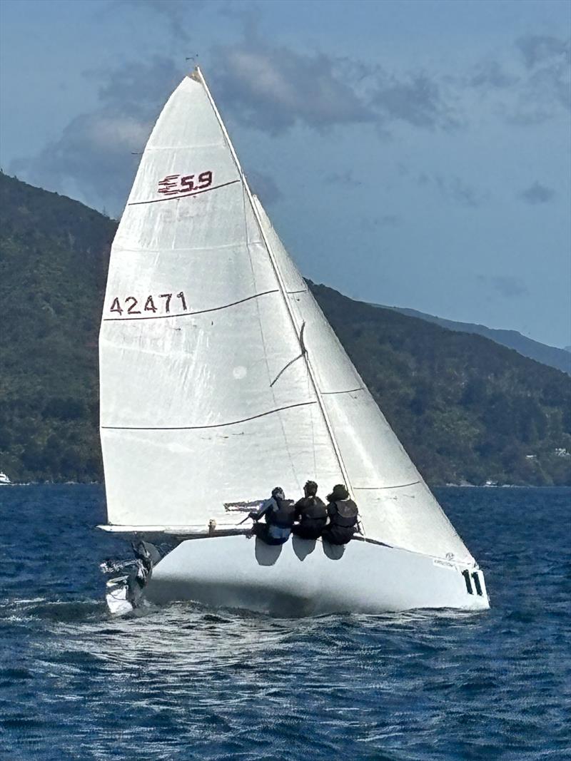 Elliott 5.9 - 2024 National Championships sailed at Marsden Cove photo copyright Elliott 5.9 Assoc taken at  and featuring the Elliott 5.9 class