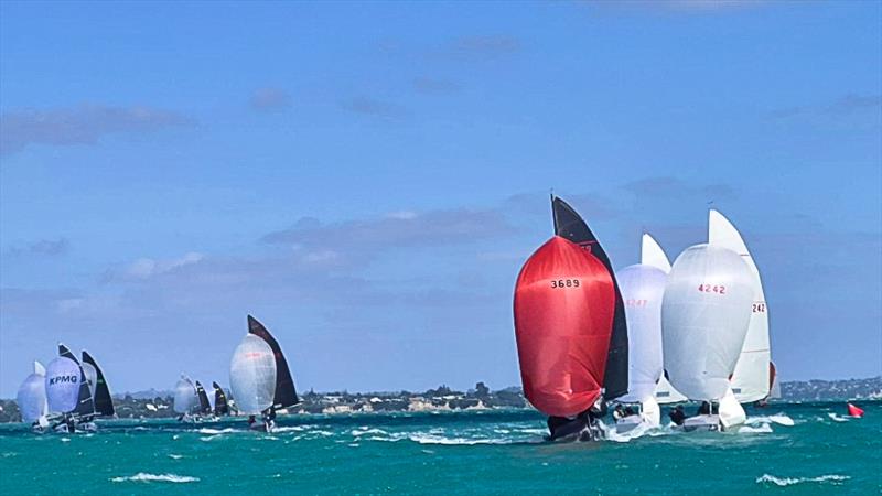 A 12-boat very competitive fleet is expected for Elliott 5.9 Traveller Series #2 - Marsden Cove - June 13-14, 2026 - photo © Elliott 5.9 Assoc