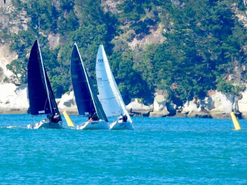 Burnsco Elliott 5.9 Traveller Series, August 1-2, 2026 - Mercury Bay, Whitianga - photo © Elliott 5.9 Assoc