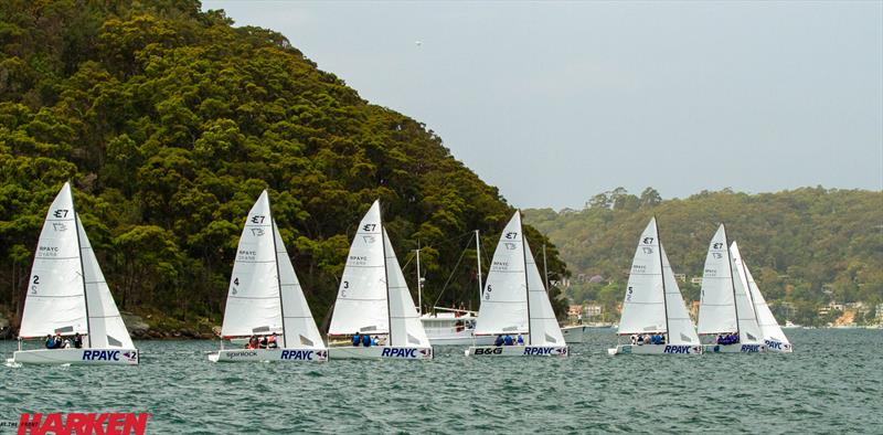 Harken Open Championship 2020 photo copyright Brendan Rourke taken at Royal Prince Alfred Yacht Club and featuring the Elliott 6m class