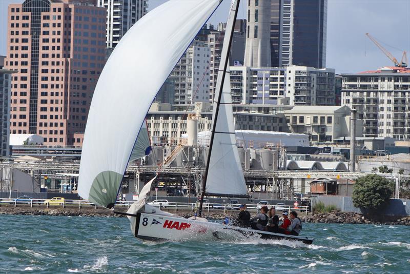 Day 4 - Nespresso Youth International Match Racing Cup, February 24, 2019 photo copyright Andrew Delves taken at Royal New Zealand Yacht Squadron and featuring the Elliott 6m class